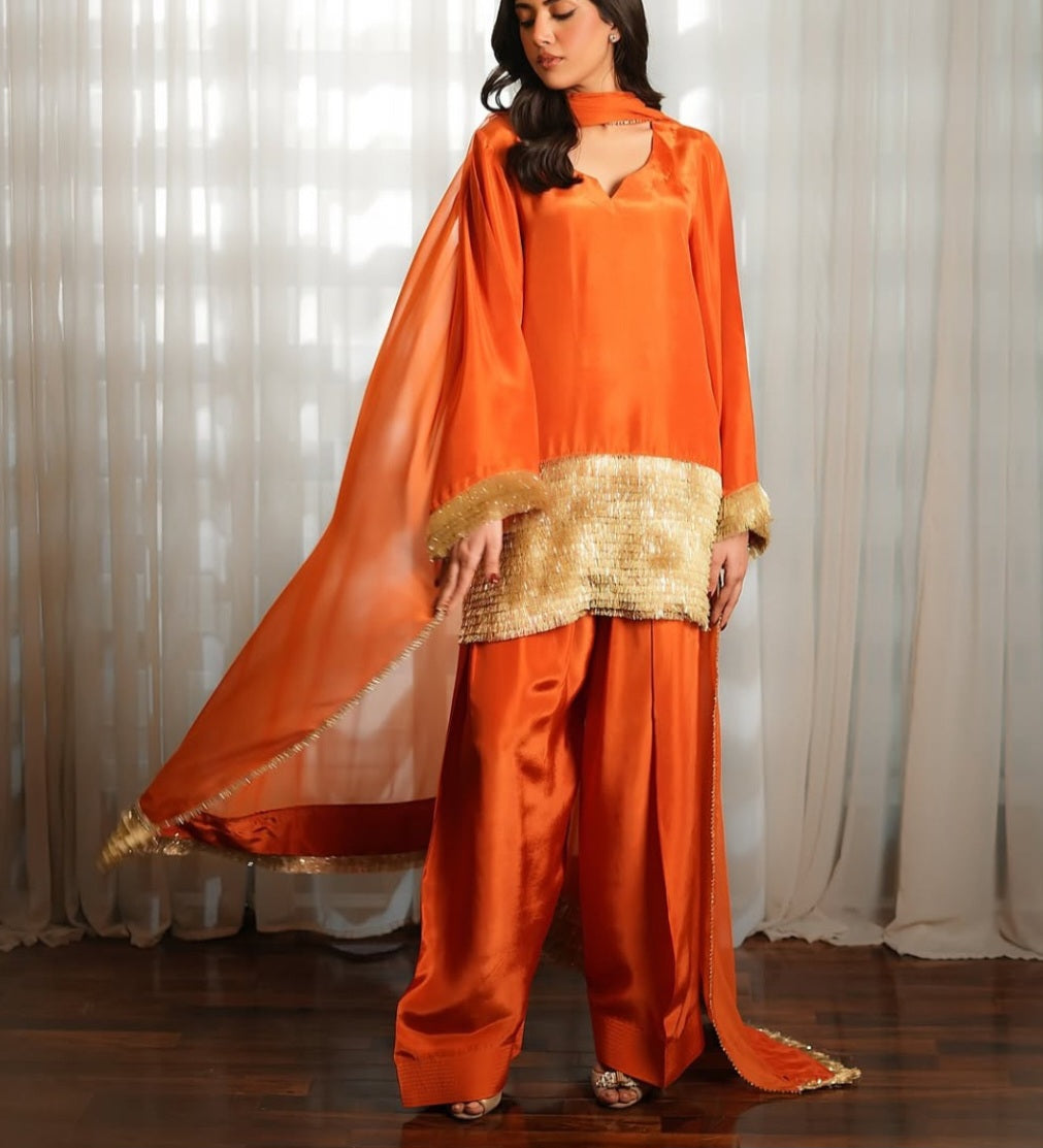 Pakistani/Indian traditional women clothng