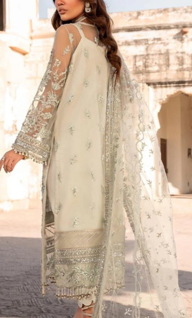 Pakistani/Indian traditional women clothing