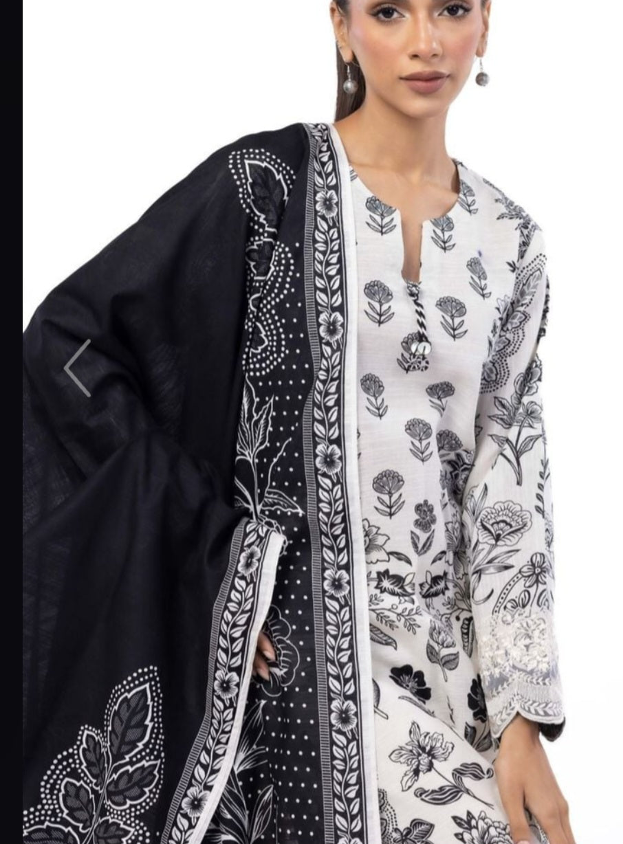 Pakistani/Indian traditional women clothng