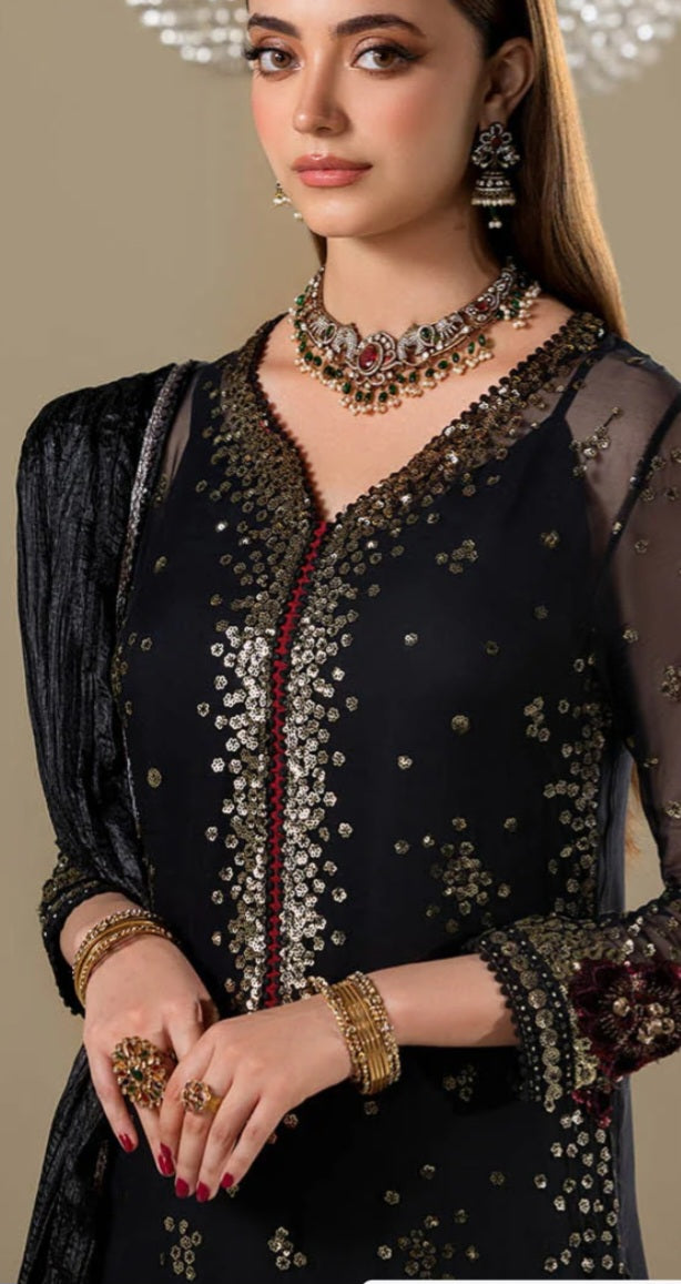 Pakistani/Indian traditional women clothng