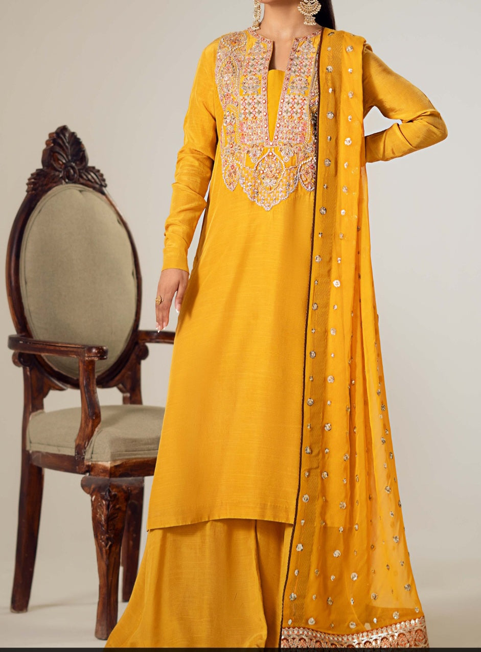 Pakistani/Indian traditional women clothng