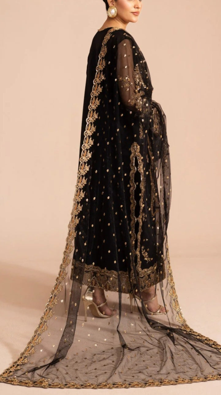 Pakistani/Indian traditional women clothng