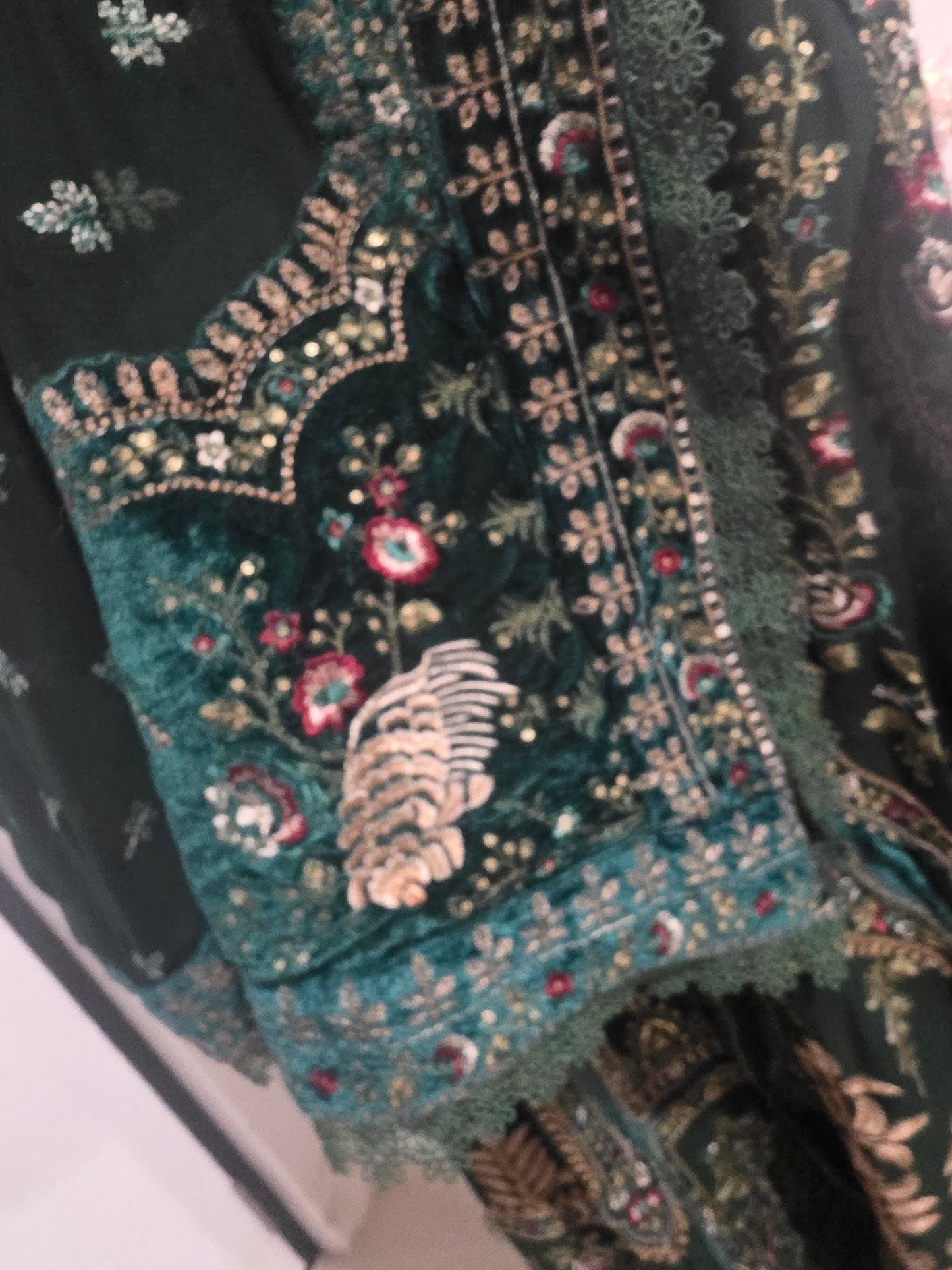 Pakistani/Indian traditional women clothng
