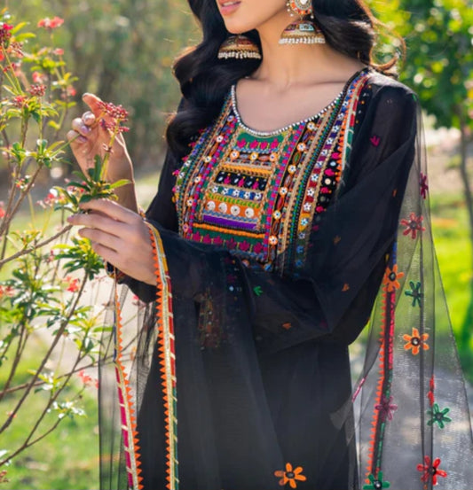 Pakistani traditional embroidery suit