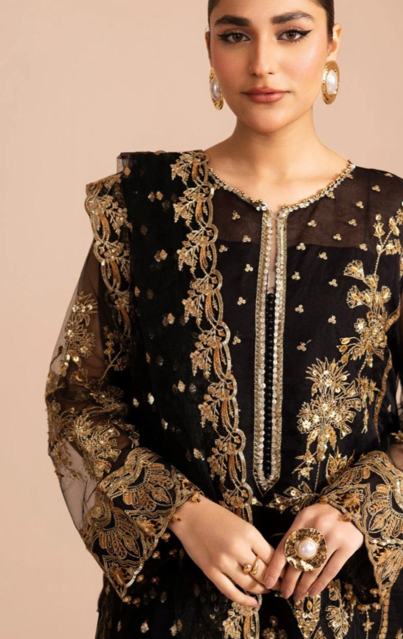 Pakistani/Indian traditional women clothng