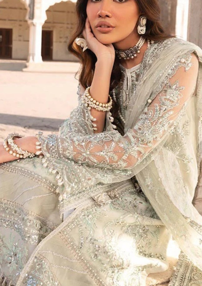 Pakistani/Indian traditional women clothing