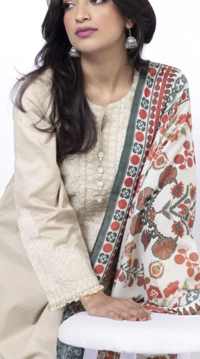 Pakistani traditional embroidery suit