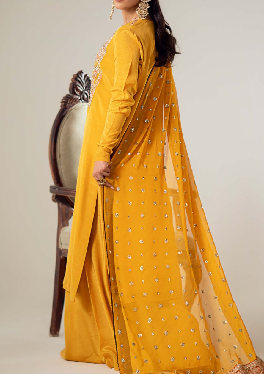 Pakistani/Indian traditional women clothng