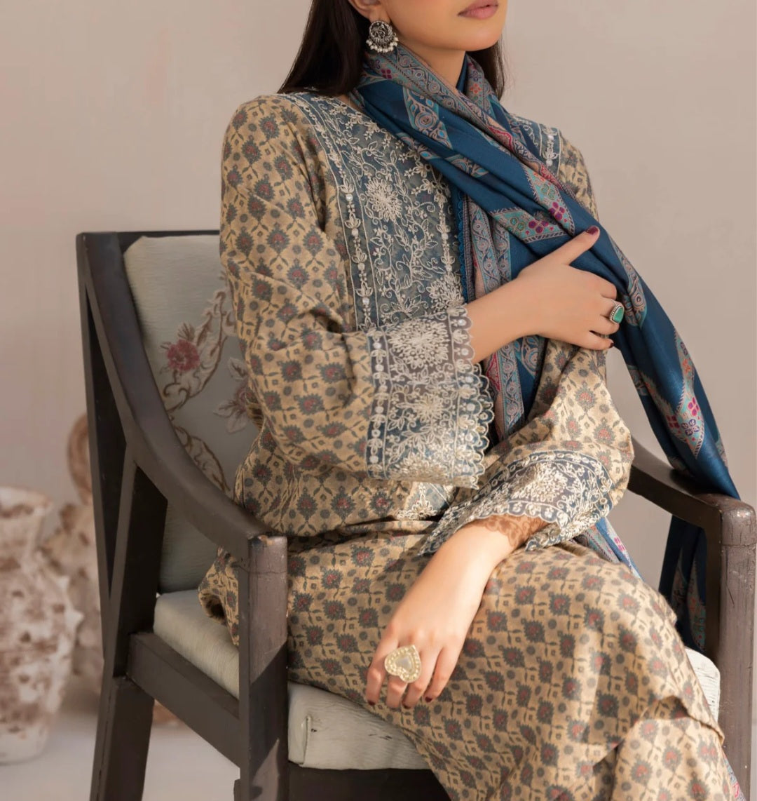 Pakistani/Indian traditional women clothing