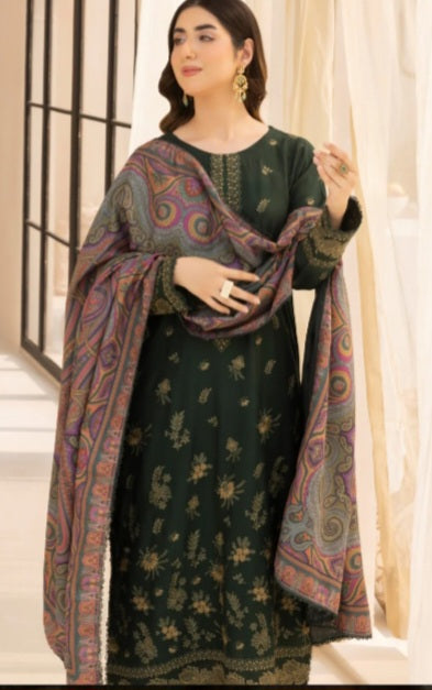 Pakistani/Indian traditional women clothing